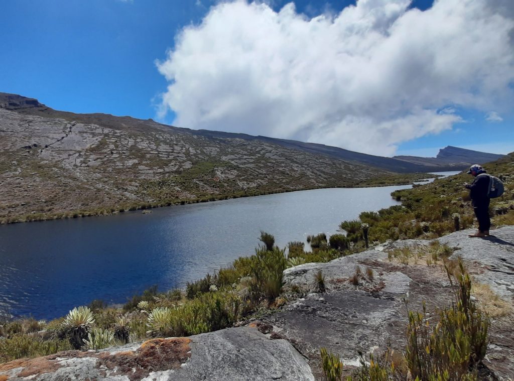 In the foreground, a lagoon is surrounded by frailejones and unique páramo vegetation. In the background, mountains rise under a veil of clouds, enhancing the beauty of the landscape. On the right, a person with a backpack stands gazing at the view. Chingaza National Natural Park in Colombia