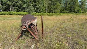 An old abandoned saw in a field with a large hornets nest attached.