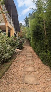 A narrow pathway bordered by greenery, featuring rectangular stone stepping stones laid over a ground of small gravel stones