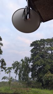 Outdoor internet unit with a satellite dish on a pole, wires hanging, against trees and a cloudy morning sky.
