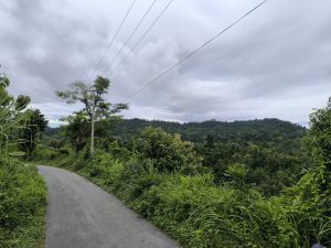 A winding road curves through lush greenery, flanked by dense vegetation on both sides. In the background, rolling hills covered in trees rise against a cloudy sky, creating a serene, natural landscape. Power lines extend above the trees, adding a subtle human element to the peaceful scene.