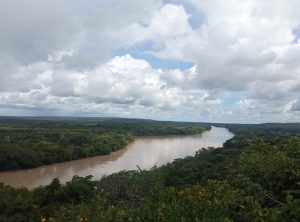 The mighty Guayabero River winds through the dense jungle of La Macarena, Colombia, displaying the strength and grandeur of its brown waters under a sky filled with clouds. This river is the gateway to Caño Cristales and one of the most biodiverse landscapes in the country
