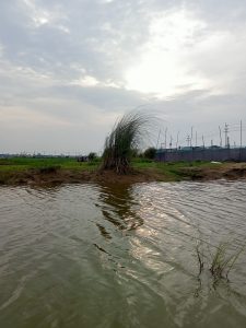 A serene landscape featuring a still body of water reflecting the cloudy sky above. In the foreground, tall grasses grow near the water's edge, while the background shows a patch of green land with a few structures