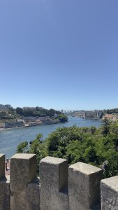 A panoramic view of the Douro River, Porto, winding through a lush landscape bordered by greenery and city structures.
