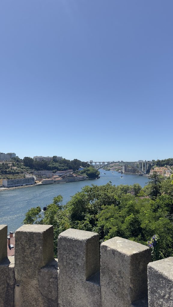 A panoramic view of the Douro River, Porto, winding through a lush landscape bordered by greenery and city structures.