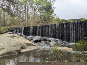 Yates Mill Dam in Raleigh, North Carolina, with water cascading over the stone structure surrounded by trees.