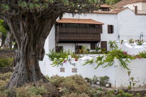 A massive ancient dragon tree (Drago) stands prominently in front of a traditional whitewashed building with wooden balconies, surrounded by lush greenery and stone walls, in Icod de los Vinos, Tenerife.
