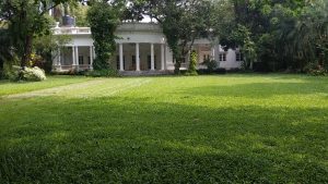 A picture of a house painted full white withgreen trees on its surrounding and grassy field at its front.
