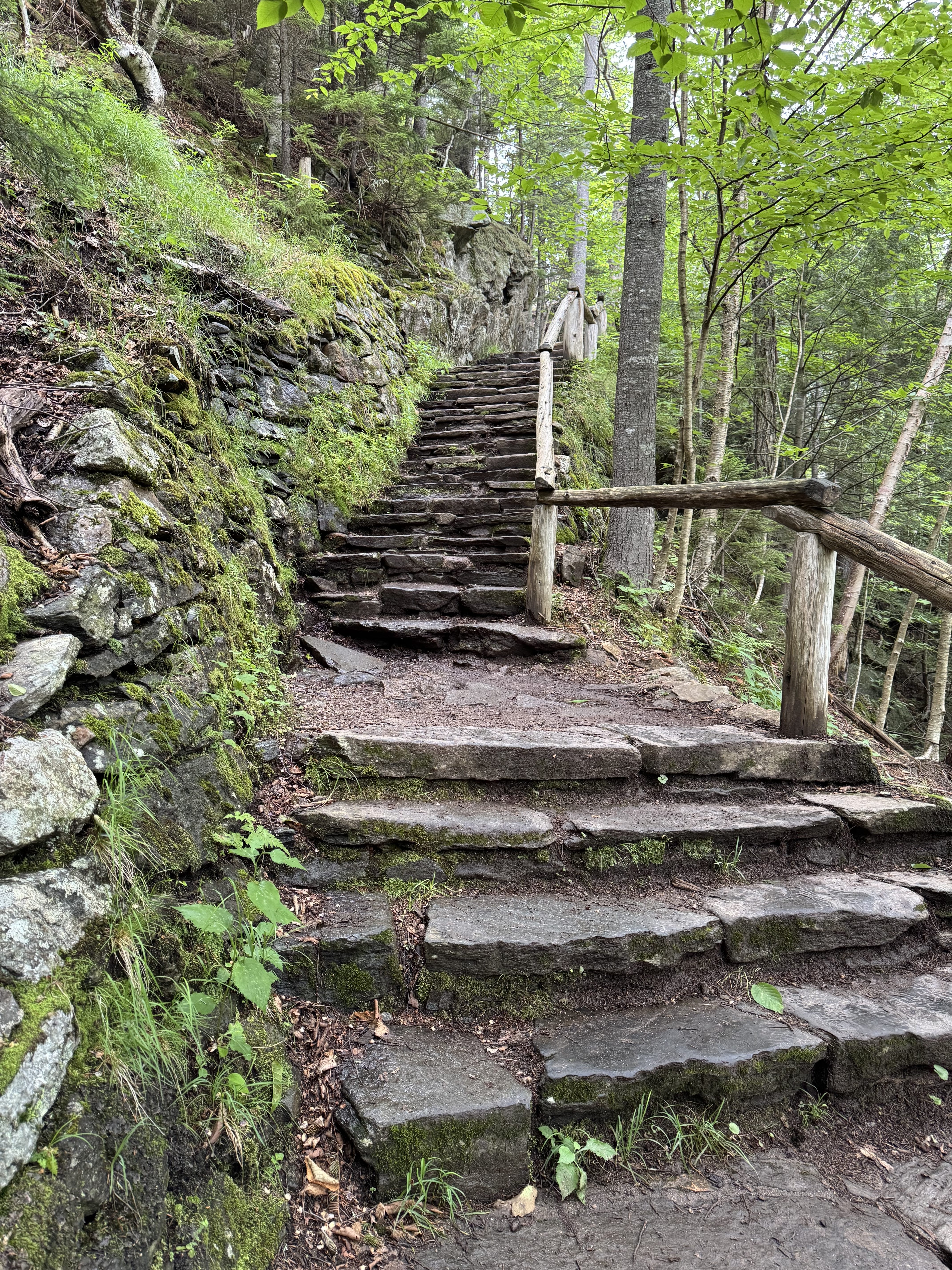 A rugged outdoor staircase with a wooden railing found on Glen Ellis Falls Trail in Gorham, New Hampshire along a mossy stone wall.