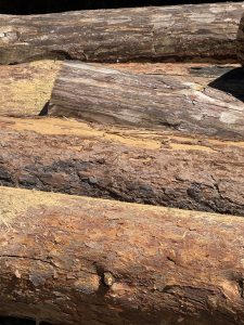 A close-up view of several logs stacked together, displaying various shades of brown and textures in the bark. 
