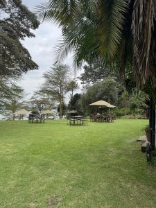 A lush green lawn with scattered tables and umbrella overlooks a calm lake under a cloudy sky. Palm fronds the scene from the right side.