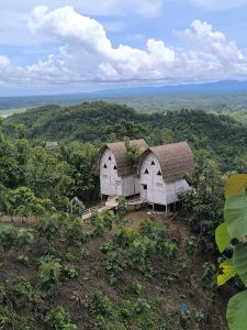 Two unique, small wooden cabins with thatched roofs are perched on a lush, green hillside, overlooking a vast forest landscape under a cloudy sky.