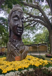 Lotus Buddha at Lalbagh, sculpture carved from a 200 year-old nilgiri tree