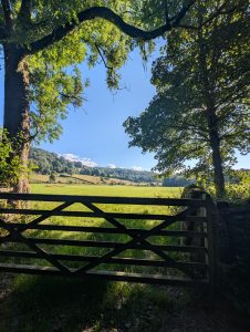 A gate in northern England looking out onto a green field