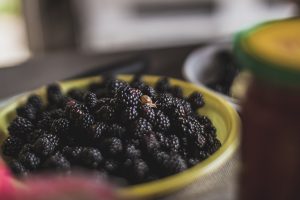 A close-up image of a bowl filled with fresh blackberries, showcasing their vibrant black color and textured surface. A small snail is perched on top of the berries. 