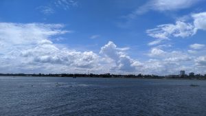 A serene view of a large river under a bright blue sky filled with fluffy white clouds. The water appears calm with small patches of greenery floating on the surface. In the distance, silhouetted trees and structures line the shore, adding depth to the scene.