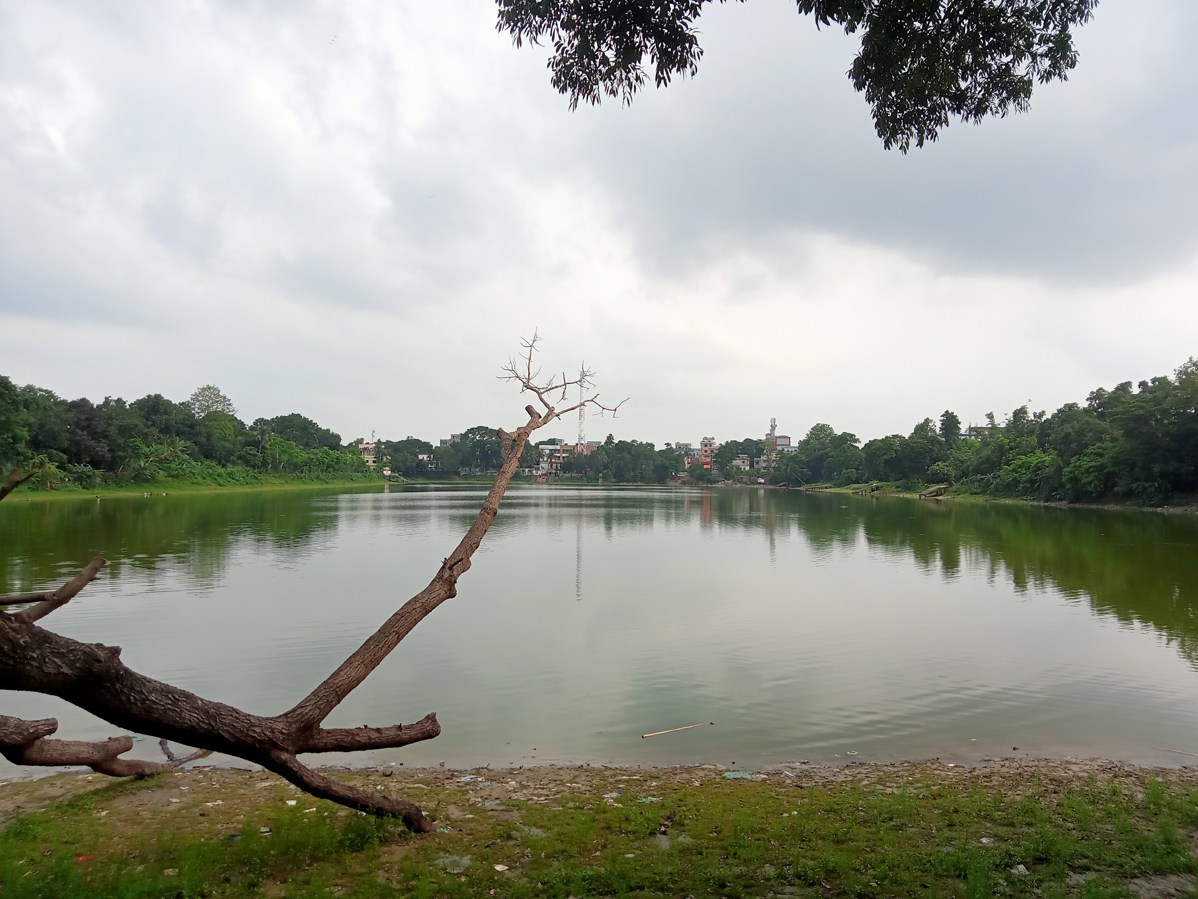 A calm lake surrounded by lush greenery and trees under a cloudy sky. A bare, twisted branch extends out over the water, and the surface reflects the surrounding landscape.