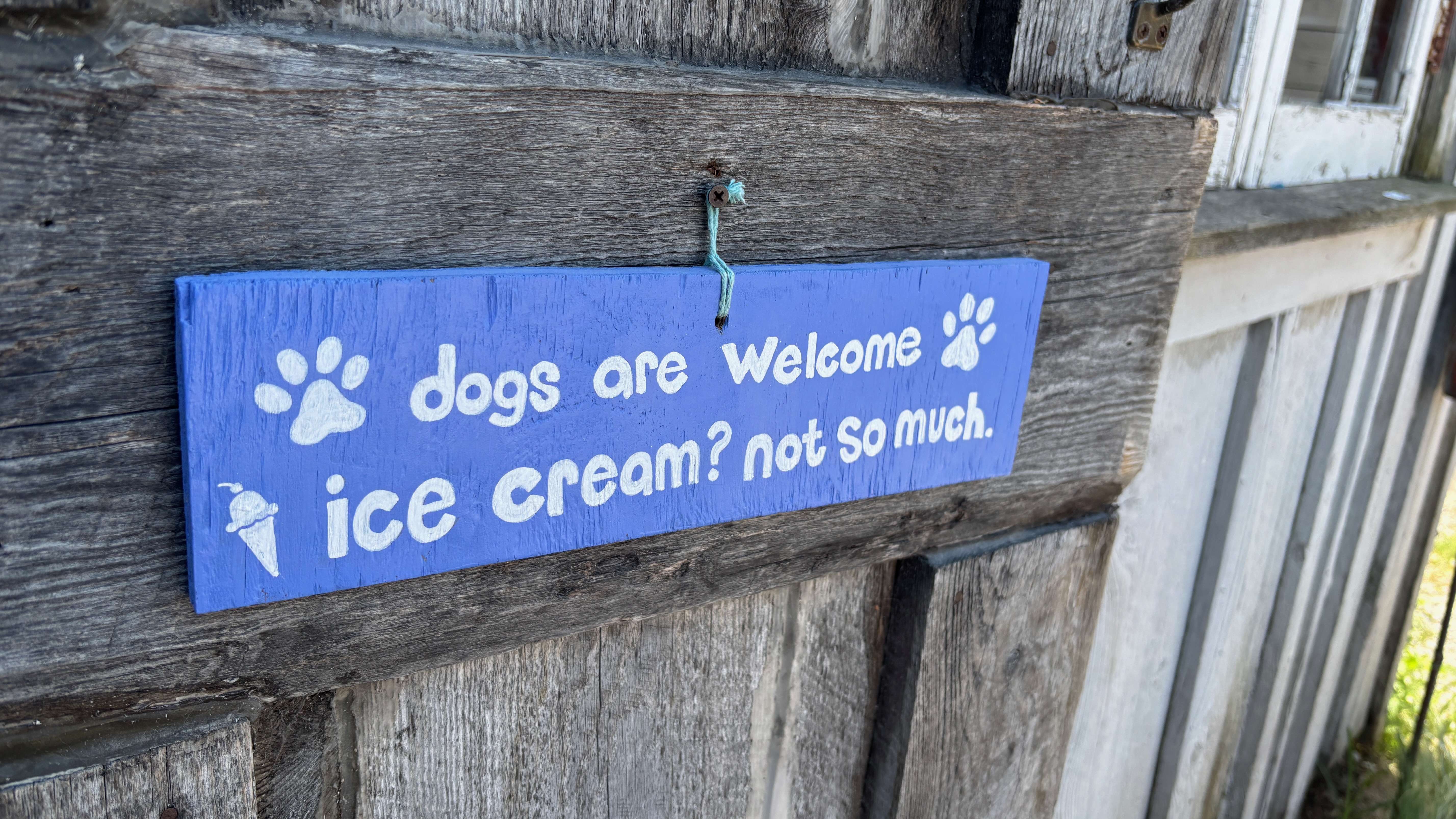A signed hung on an old barn door. The sign says "dogs are Welcome, ice cream? not so much." The sign is decorated with paw prints and ice cream cones.