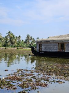 A traditional Kerala houseboat glides along calm backwaters, with coconut trees along the shore and a clear blue sky above
