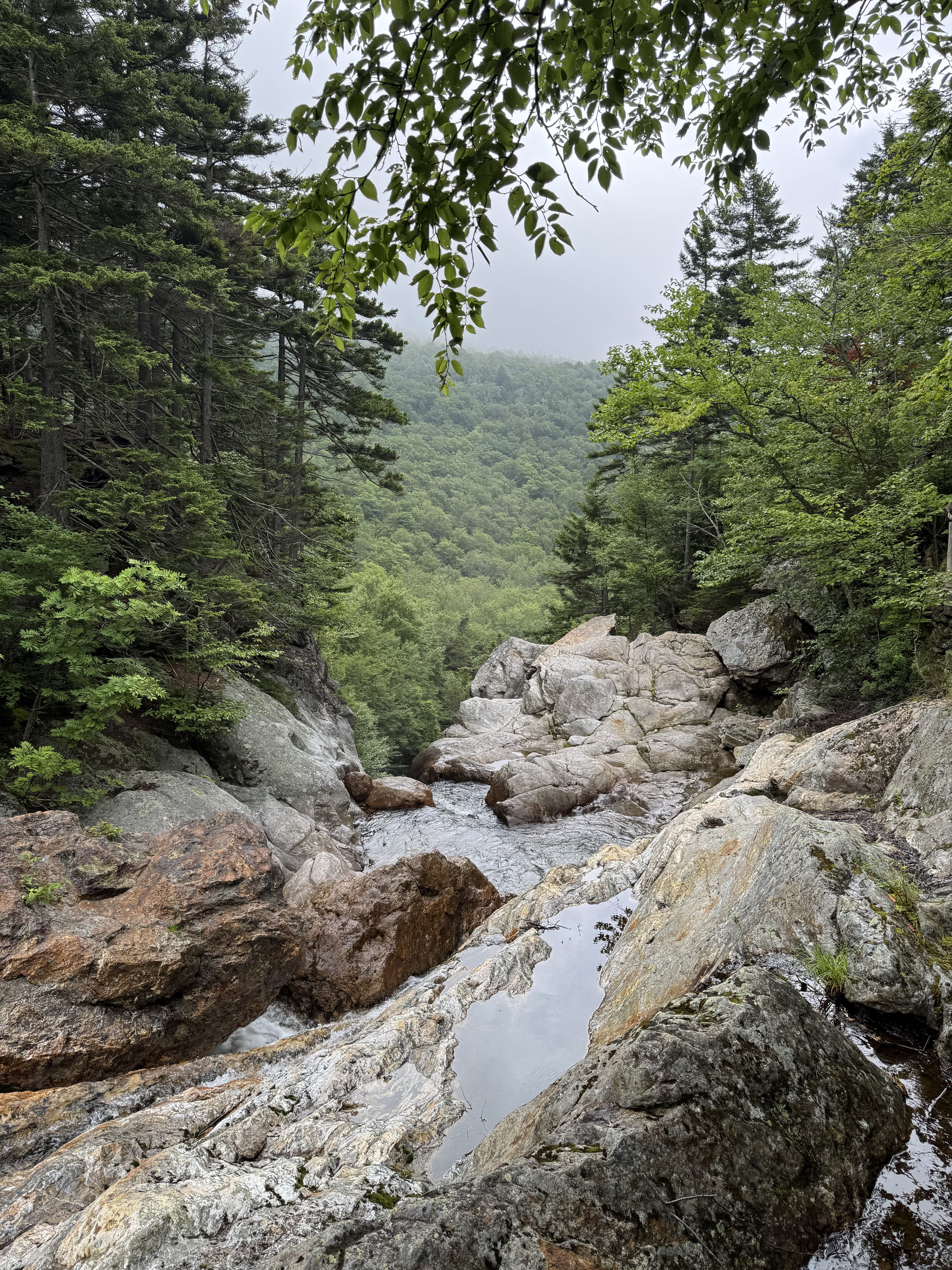 A rocky cascade with water pooling on the stones at the top of a waterfall. A densely forested mountain is visible through the mist and clouds in the distance.