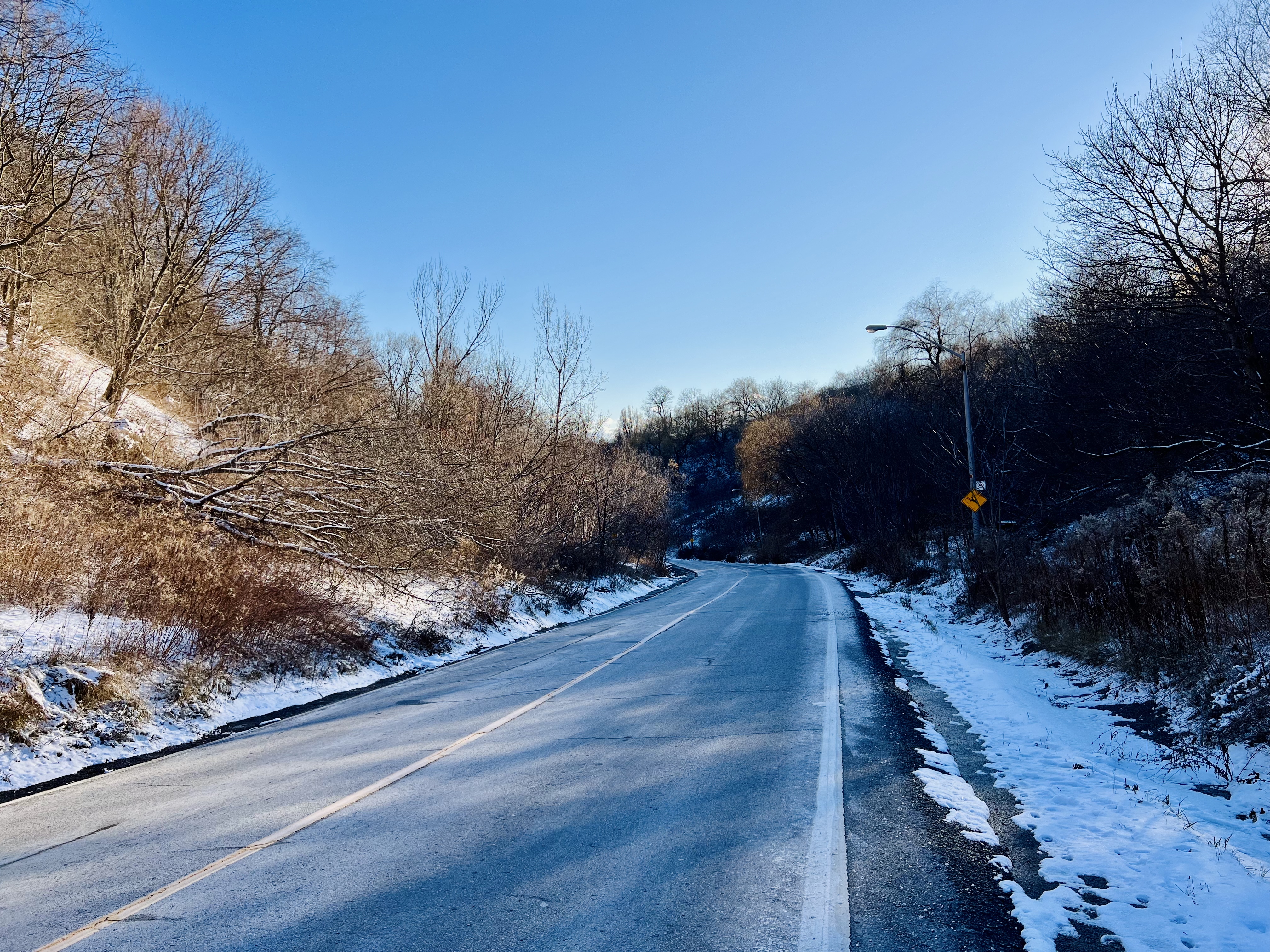 A snowy road winding through a forest with bare trees.
