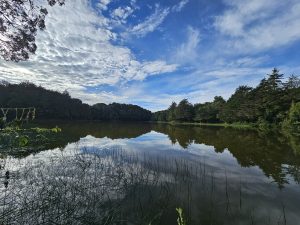 Don Manuel Lagoon, calm and surrounded by greenery, reflecting the blue sky and clouds.