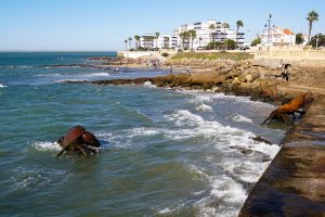 Chipiona, Spain. A rocky shoreline with gentle waves lapping at the water’s edge. In the foreground, significant sculptures resembling giant crabs are partially submerged in the ocean. In the background, people are enjoying the beach 
