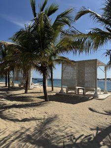 A beach scene featuring several tall palm trees casting shadows on the sandy shore.
