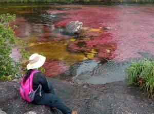 A person wearing a hat and a pink backpack sits by the riverbank, admiring the beauty of Caño Cristales, also known as the River of Seven Colors, in La Macarena, Colombia. The crystal-clear waters reveal aquatic plants that paint the riverbed in shades of red, yellow, and green, creating a one-of-a-kind natural wonder.
