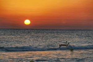 A person is diving into the ocean in the foreground, with their feet in the air and body angled downward. The background features a vibrant sunset with a large, bright orange sun setting over the horizon 