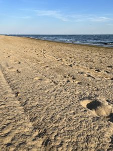 Oblique view of a beach to the left. The sand is fine and textured thanks to the shadow cast by overhead lighting. In the background, a thin wedge of sea and a blue sky with a few wisps of cloud.