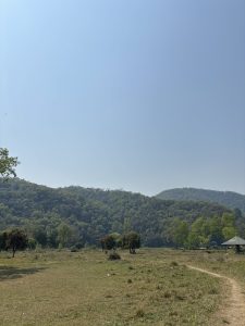 A scenic landscape featuring rolling green hills under a clear blue sky, with grassy fields in the foreground.Sparse trees dot the area, and a winding path leads through the grass.