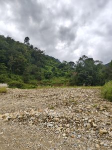 A landscape featuring a rocky foreground with various sizes of stones and pebbles, leading up to a lush hill covered in dense greenery.