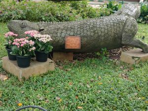 A wooden carving of a large wooden Chameleon. It’s much larger than a person. There are some flowers in pots in front.