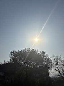 A bright sun shines in a clear blue sky, silhouetting a large tree with a building partly visible behind it.
