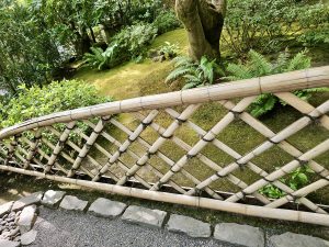 A beautiful diagonal bamboo fence lines the edge of a mossy garden bed in Portland Japanese Garden.