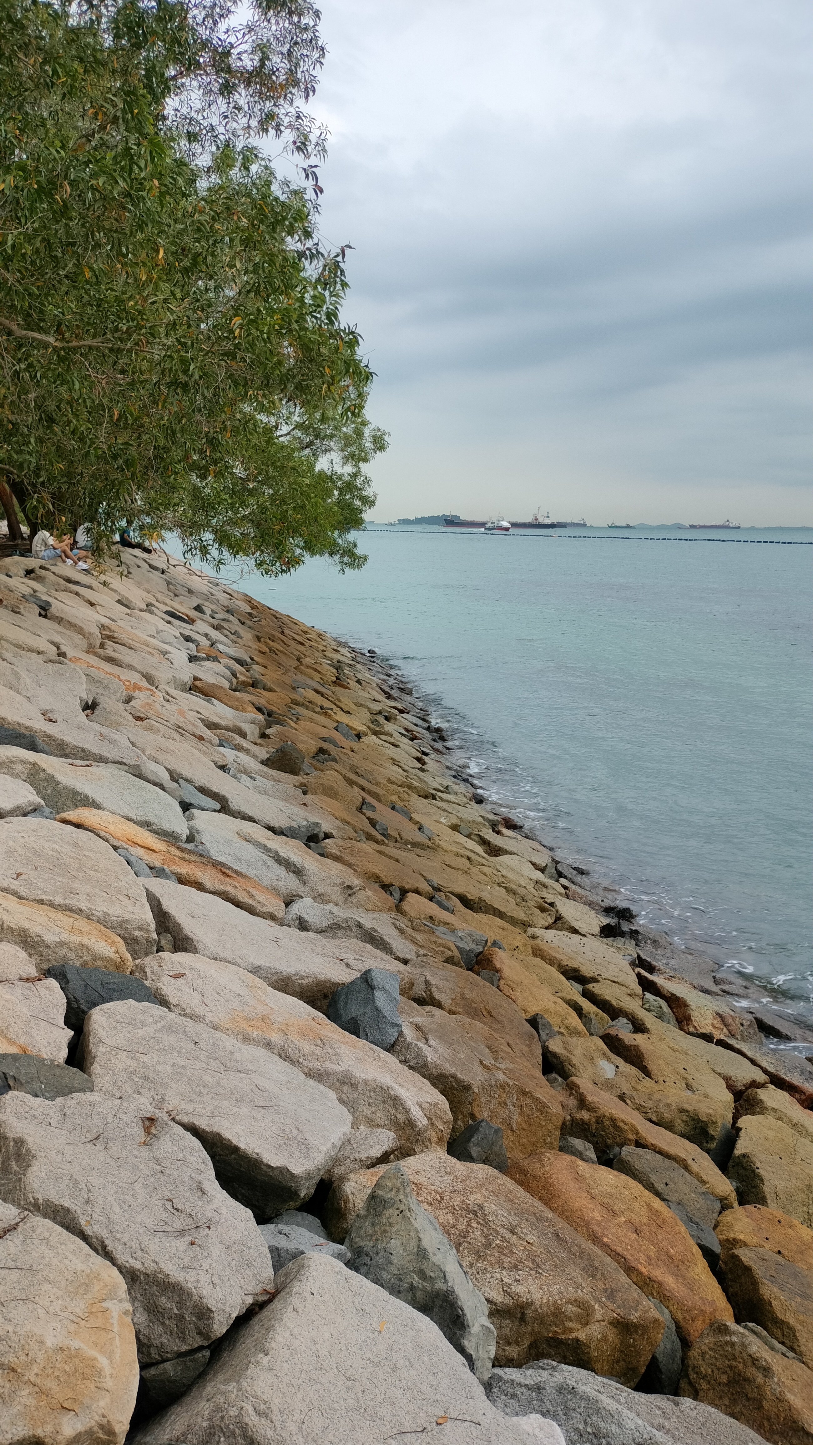 A serene rocky shoreline with colorful stones, gentle waves, distant ships on a cloudy horizon, and green trees adding contrast.