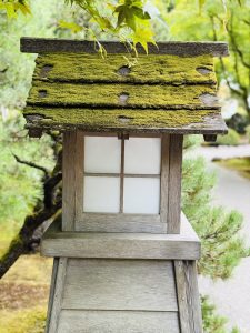 A traditional wooden garden lantern with a moss-covered roof stands among maple leaves. Photographed at the Japanese Garden in Portland, showcasing the seamless blend of nature and design. 