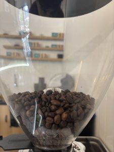 A close-up image of a coffee grinder filled with dark roasted coffee beans, housed in a transparent container. 