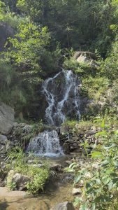 A small waterfall cascades down rocky terrain surrounded by lush greenery.