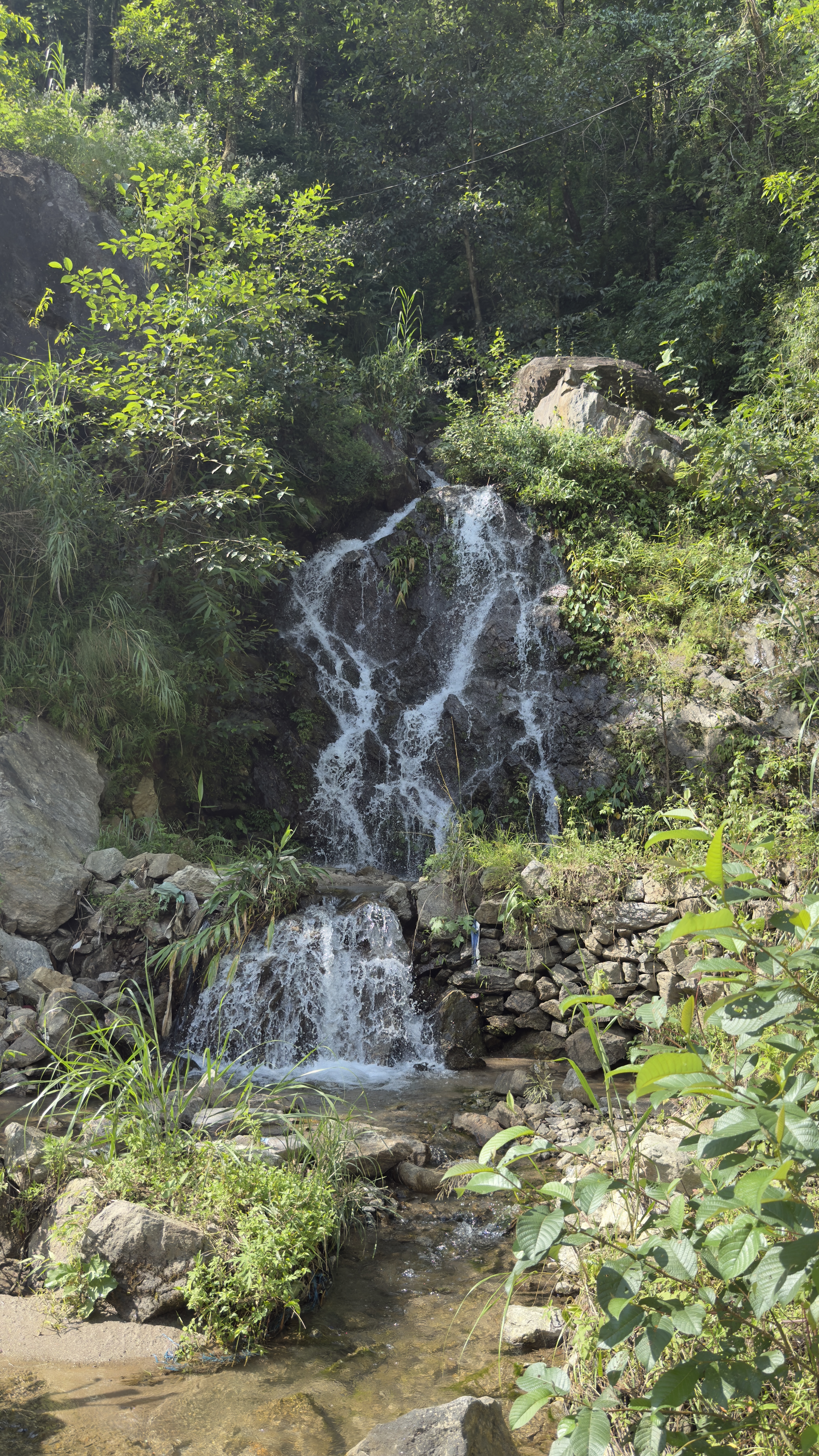A small waterfall cascades down rocky terrain surrounded by lush greenery.