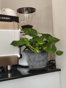 A modern kitchen countertop featuring a coffee machine and a coffee grinder. 