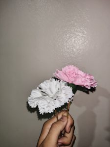A hand holding two artificial flowers, one white and one pink, against a plain wall background. 