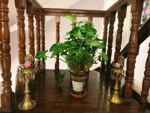 A potted plant is placed between two ornate golden lamps called Panas at the base of a wooden staircase.