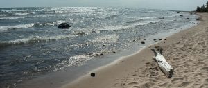 A sandy shoreline on the right, with a bit of driftwood in the foreground. A large expanse of water on the left with the sun reflecting off it.  In the far distance some people walk the beach.