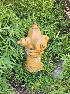 A yellow fire hydrant surrounded by green bamboo and shrubs in the Oregon Zoo landscape.