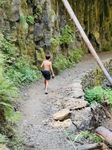 A young boy walks along a scenic forest trail next to a mossy cliff in the Columbia River Gorge National Scenic Area, Oregon. The path is lined with rocks, plants, and tall trees. 