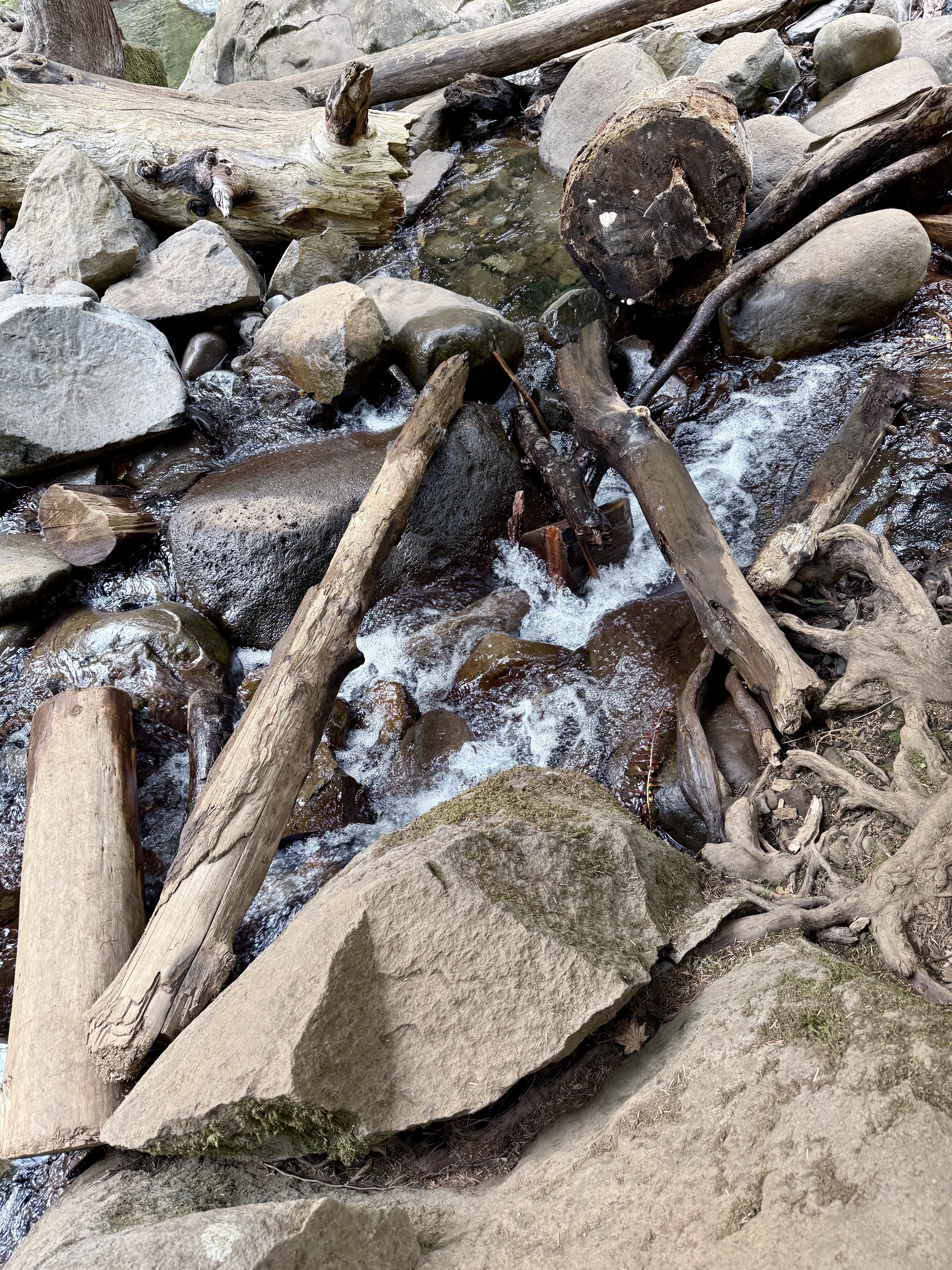 Logs and rocks are scattered in a small forest stream, creating a natural dam, captured at Columbia River Gorge National Scenic Area, Oregon.