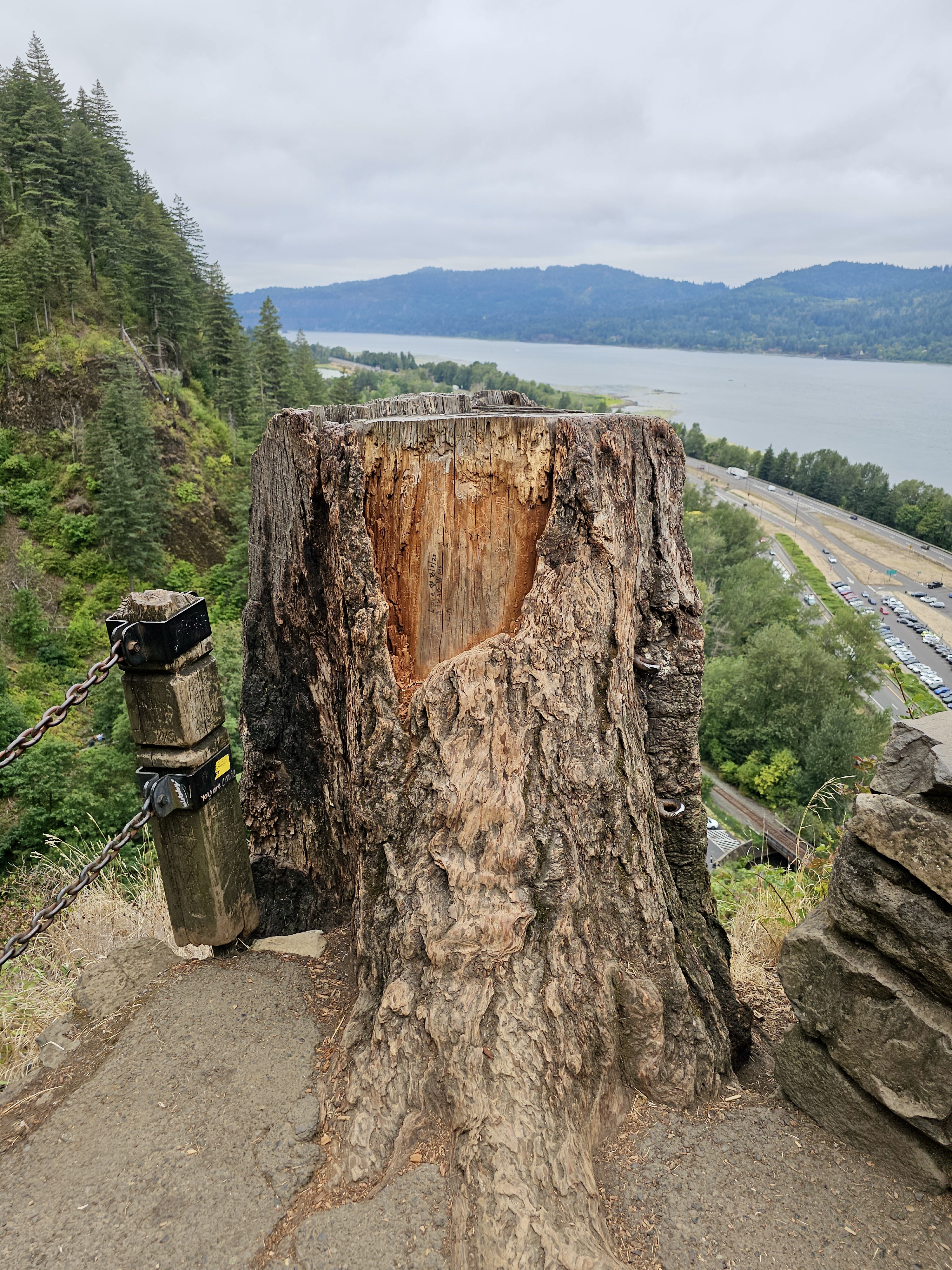 A large, carved tree stump sits near a cliff, with chains and forested hills in the background. Columbia River Gorge National Scenic Area, Oregon.