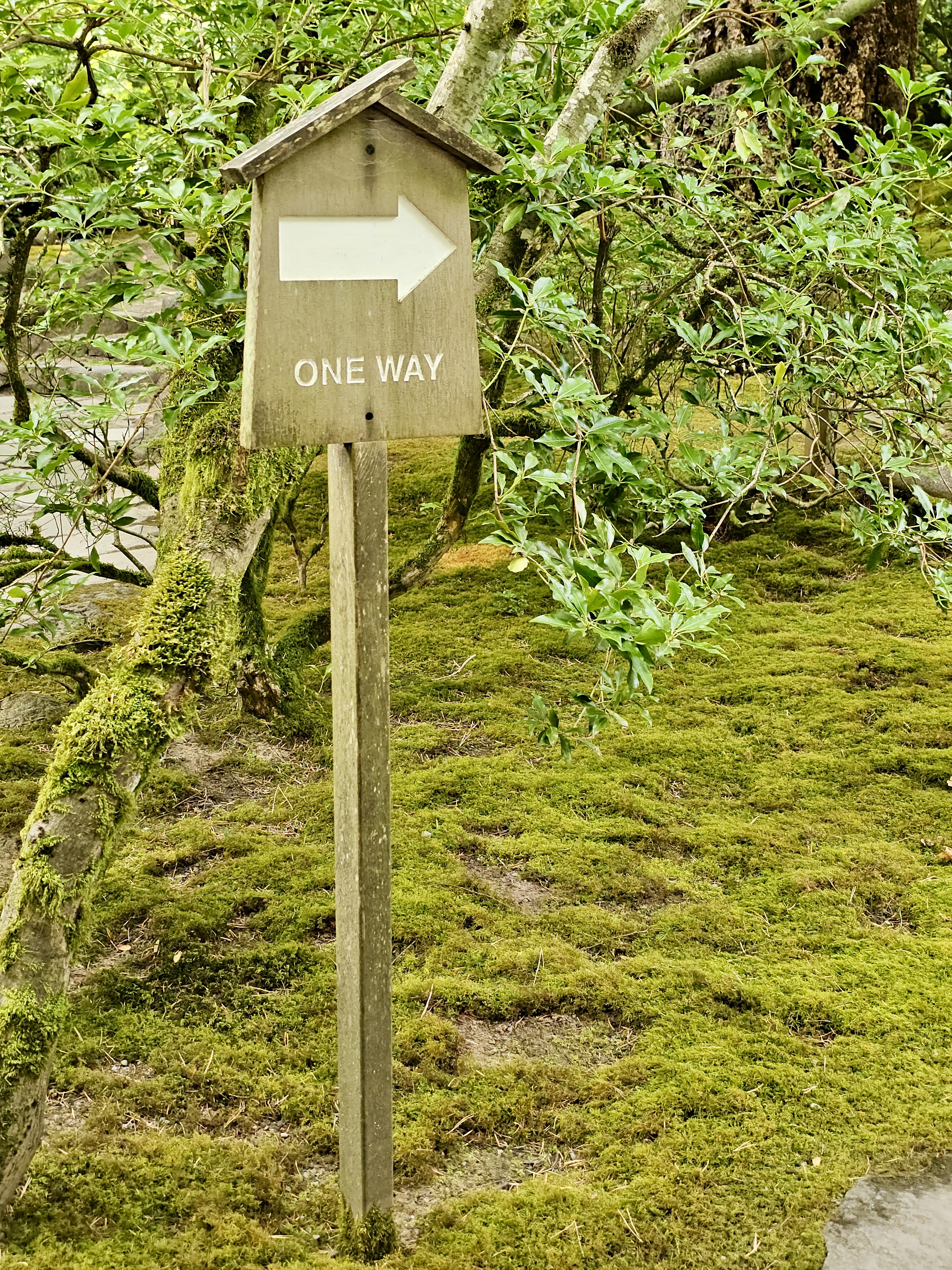 A wooden sign with a white arrow and "ONE WAY" directs visitors through a moss-covered path at the Portland Japanese Garden. Blends naturally into its surroundings. 